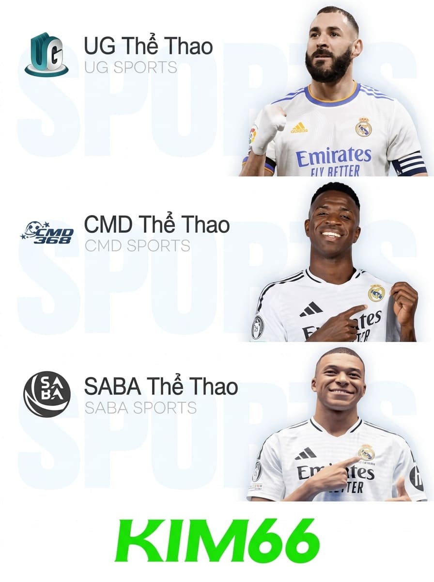 13 sảnh thể thao Kim66